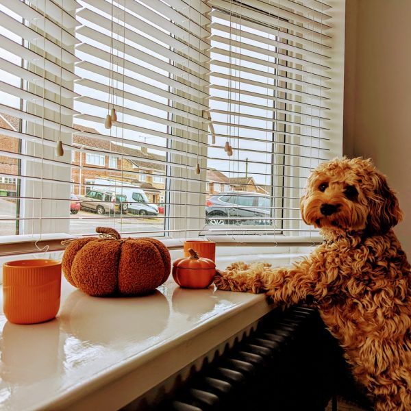 Blinds Installer Epping