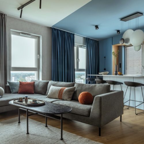 Creative,Composition,Of,Kitchen,And,Living,Room,Interior,With,Gray