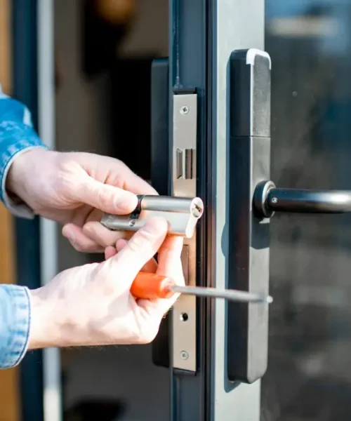 Security Door | Blinds Plus