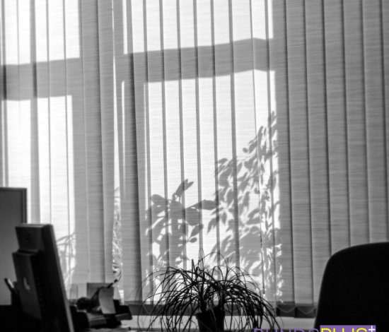 Sheer Vertical Blinds Sydney