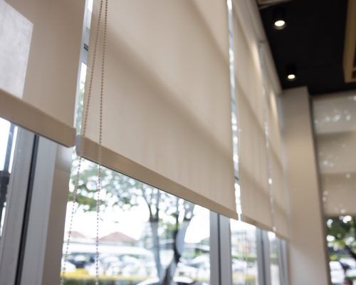 What Are the Different Types of Roller Blinds?